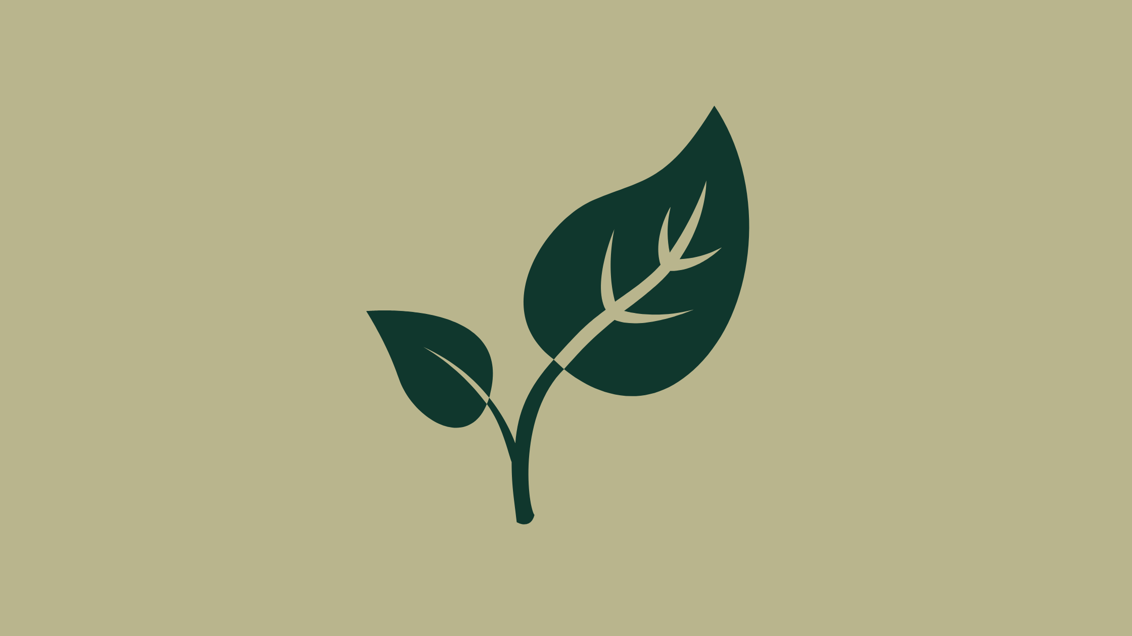 Icon of leaf