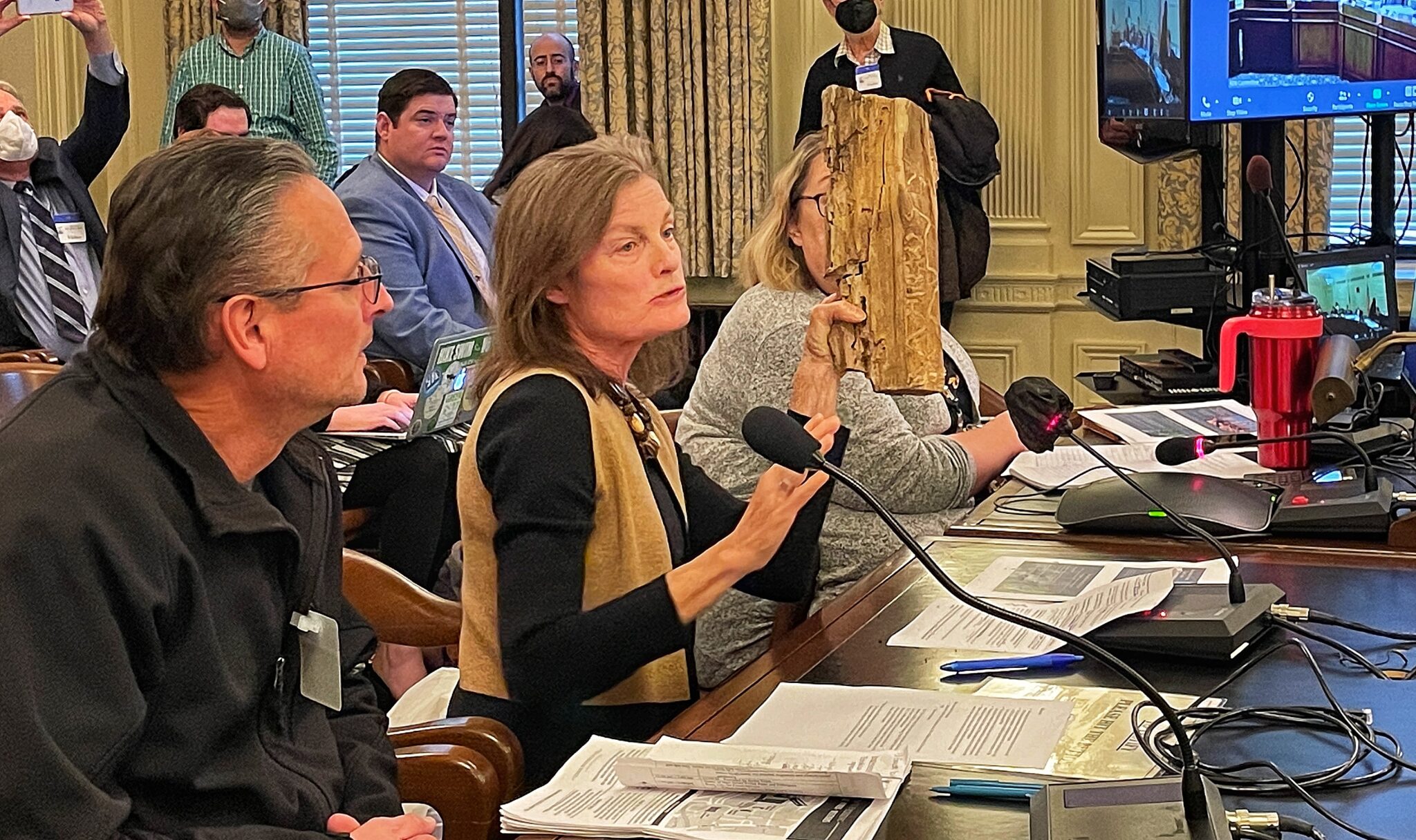 Patricia Shanley of the New Jersey Forest Task Force holds up an invasive plant as she testifies before the Senate environment committee on Dec. 15, 2022, at the Statehouse in Trenton. (Photo by Dana DiFilippo | New Jersey Monitor)
