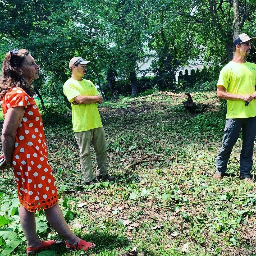 Discussions during forest mowing