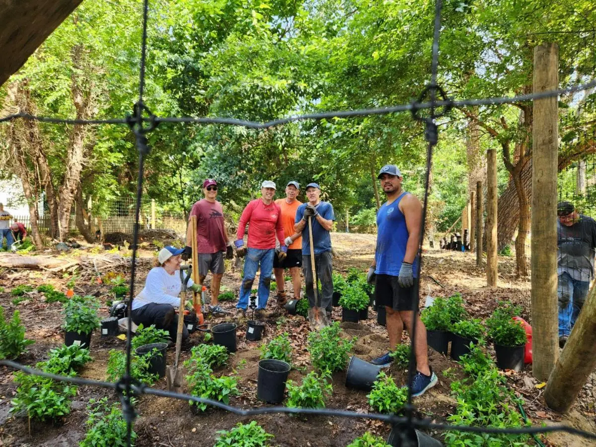 Volunteers installing the pollinator garden at Edgemere park