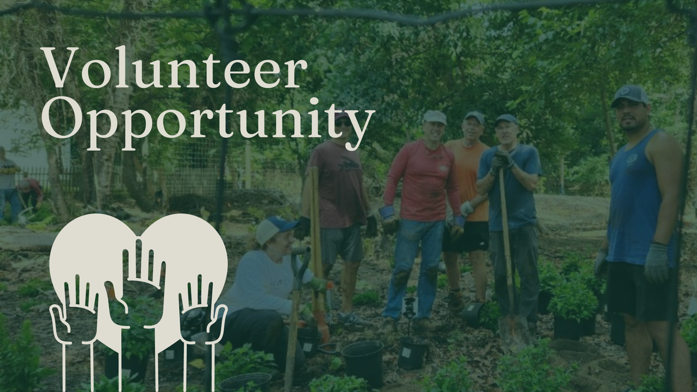 Volunteer Opportunity with Sea Girt Conservancy