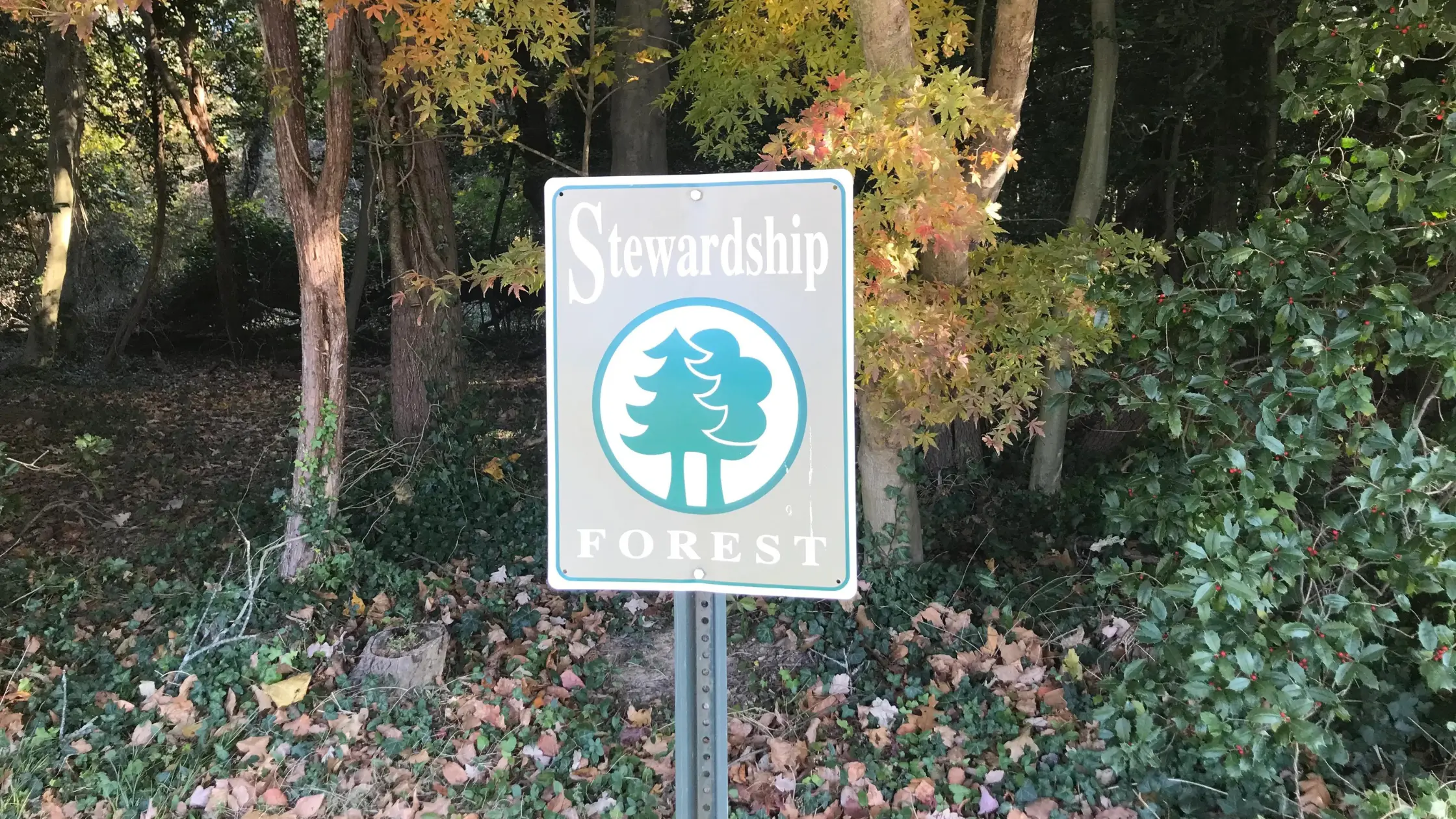Crescent Park Stewardship