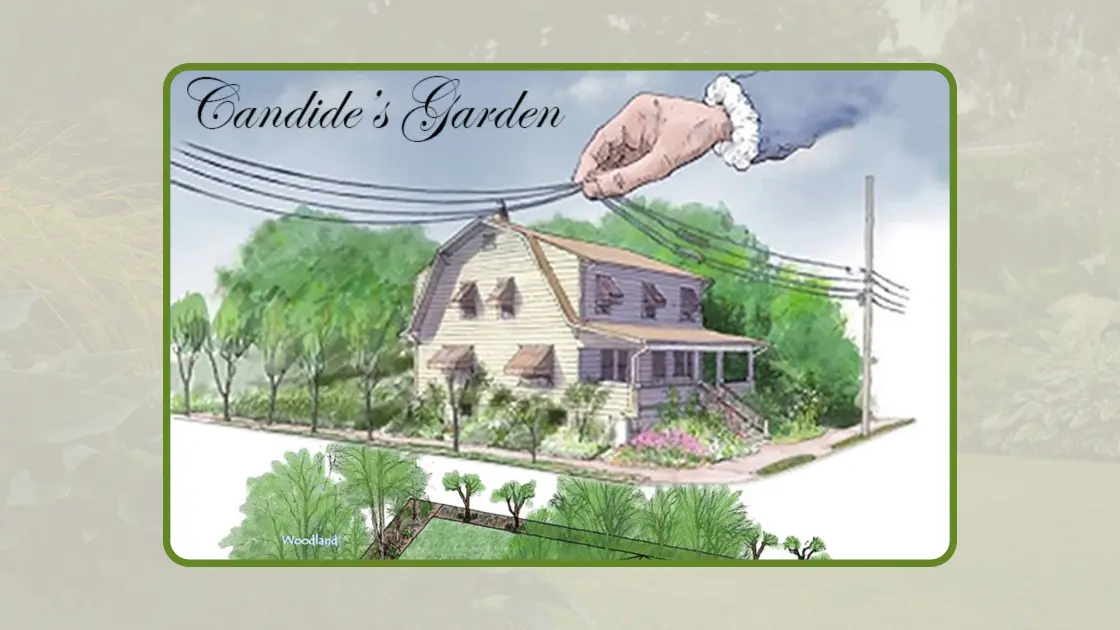 Candide's Garden Illustration