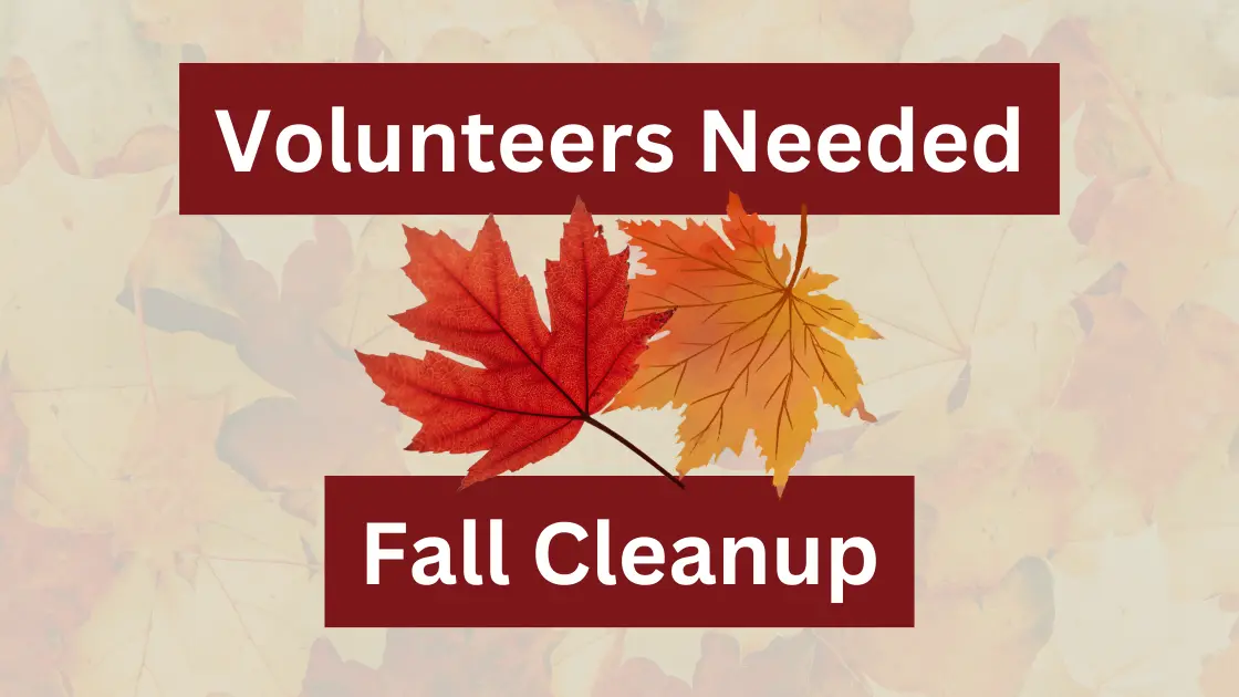 Fall Cleanup at Plein Air Park